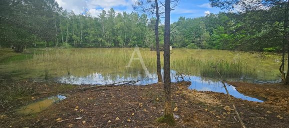  Land in Cere-la-Ronde, France No. 252552 7