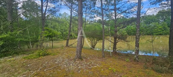  Land in Cere-la-Ronde, France No. 252552 3