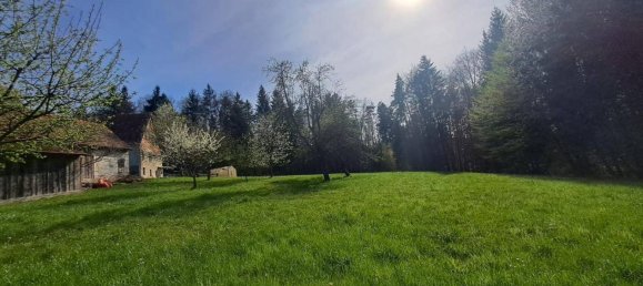 4 rooms House in Vasoldsberg, Austria No. 243606 6