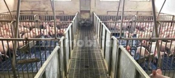 3 bedrooms Villa in Marcaria, Italy No. 310959 39