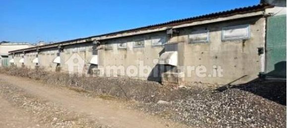 3 bedrooms Villa in Marcaria, Italy No. 310959 35