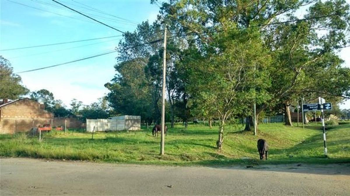 Grundstück in Mar del Plata, Argentina, Nr. 113283