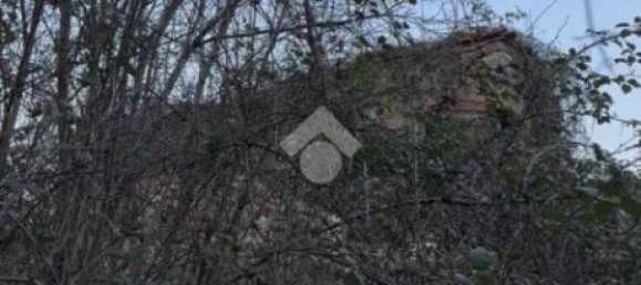 Studio in Orte, Italy No. 124506 6