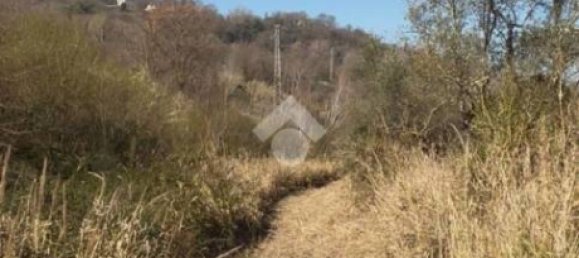 Studio in Orte, Italy No. 124506 4