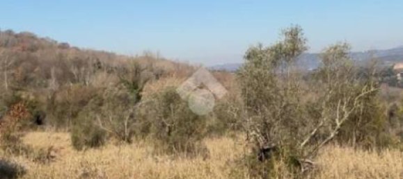 Studio in Orte, Italy No. 124506 2