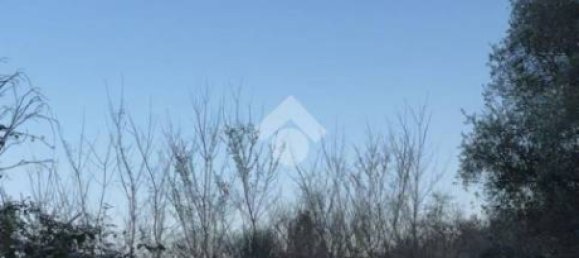 Studio in Orte, Italy No. 124506 5