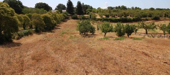 Terrain à Martina Franca, Italy 9800m² No. 280469 3