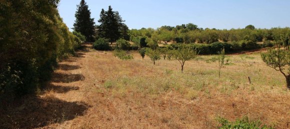 Terrain à Martina Franca, Italy 9800m² No. 280469 2