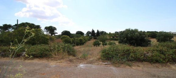 Terrain à Martina Franca, Italy 9800m² No. 280469 7