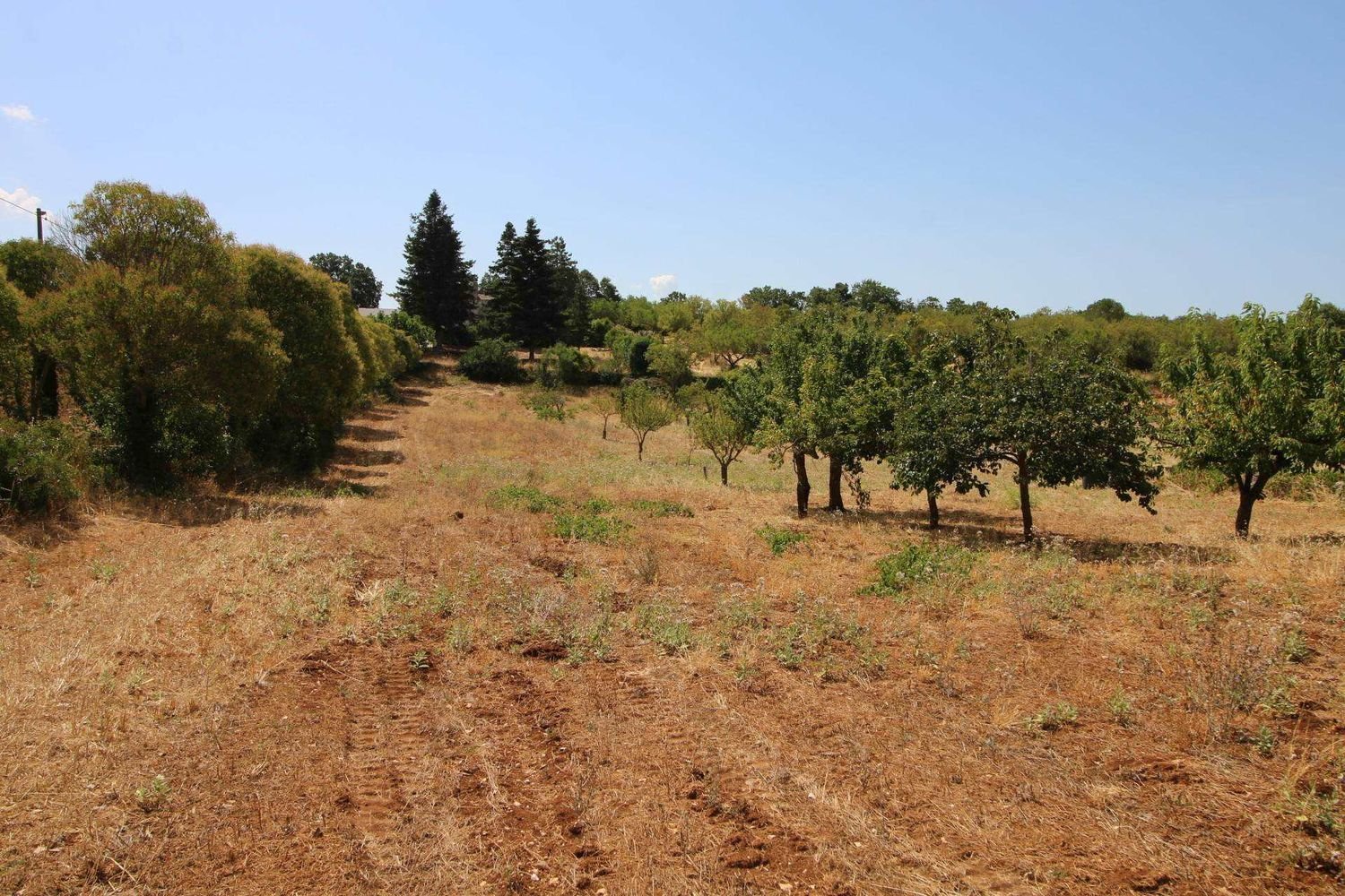 Terrain à Martina Franca, Italy 9800m² No. 280469