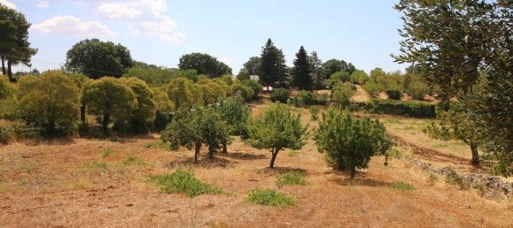 Terrain à Martina Franca, Italy 9800m² No. 280469 5