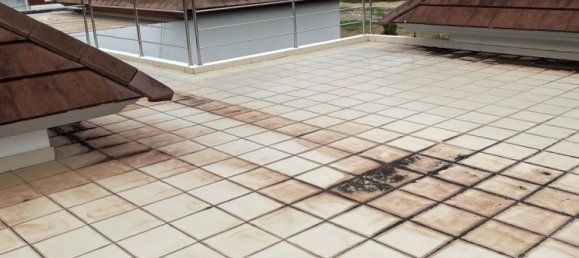 3 Schlafzimmer Haus in Phuket, Thailand, Nr. 77577 8