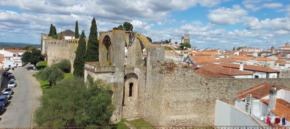 Дом с 7 спальнями в Серпа, Португалия № 32175 15