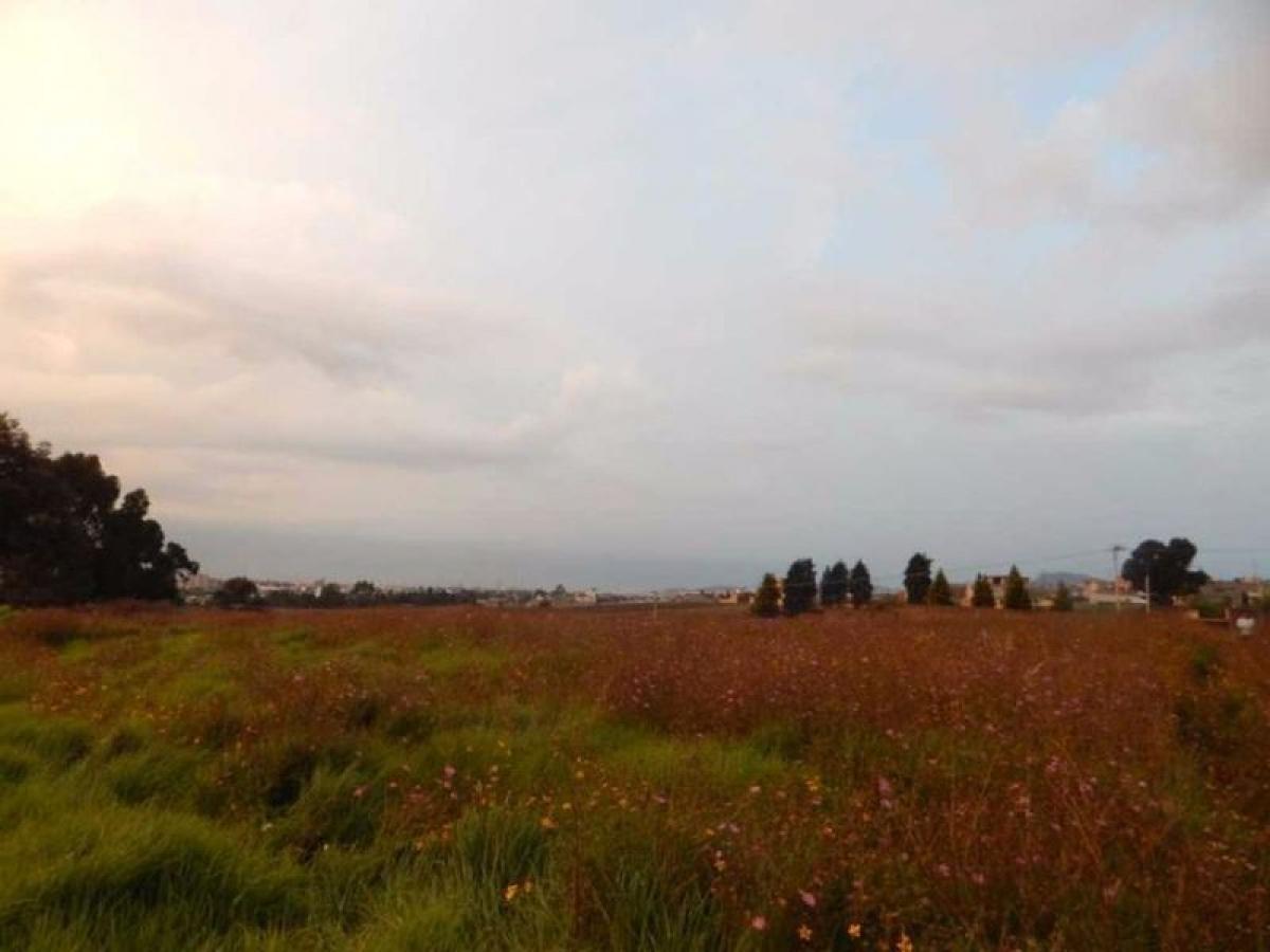  Land in San Buenaventura, Mexico No. 207124