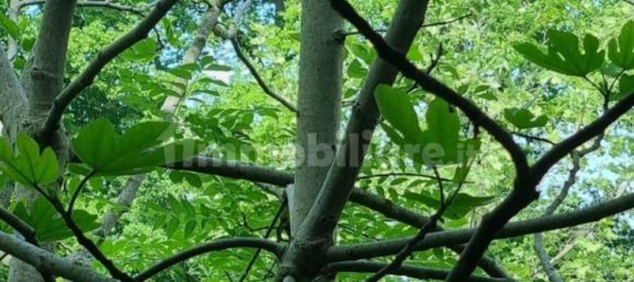 8 Schlafzimmer Villa in Modena, Italy, Nr. 140702 38