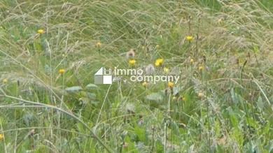  Land in Vienna, Austria No. 29029