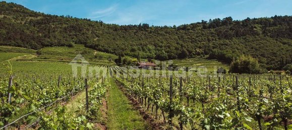 2 bedrooms Apartment in Rovato, Italy No. 262376 7