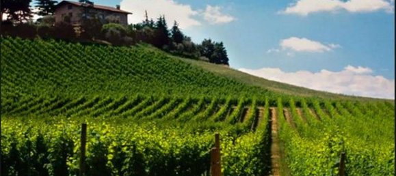 2 bedrooms Apartment in Rovato, Italy No. 262376 10