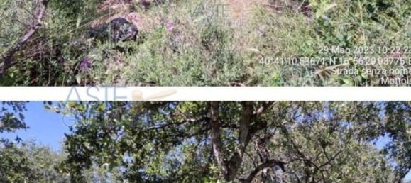 5 bedrooms House in Mottola, Italy No. 377253 5