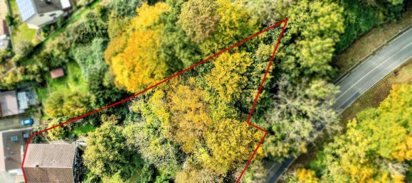 4 غرف نوم منزل في Rhein-Neckar-Kreis, Germany رقم 20375 2