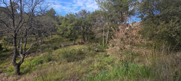 قطعة أرض في Vidauban, France 1300متر مربع رقم 239620 2