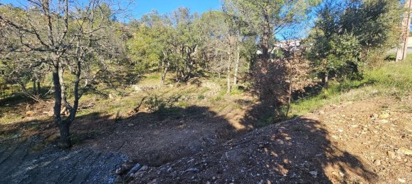 قطعة أرض في Vidauban, France 1300متر مربع رقم 239620 3