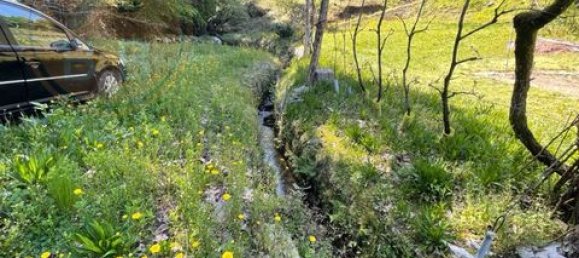  Land in Cabeceiras de Basto, Portugal No. 149155 7