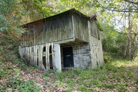 Land in Cabeceiras de Basto, Portugal No. 149155