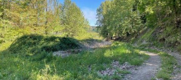  Land in Cabeceiras de Basto, Portugal No. 149155 5