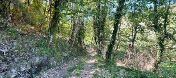  Land in Cabeceiras de Basto, Portugal No. 149155 10