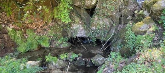  Land in Cabeceiras de Basto, Portugal No. 149155 3