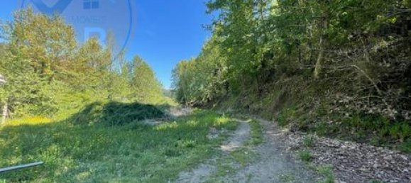  Land in Cabeceiras de Basto, Portugal No. 149155 8