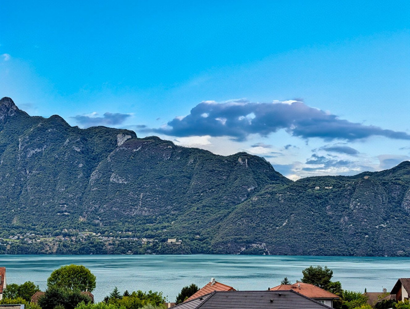 5 Schlafzimmer Haus in Tresserve, France, Nr. 358609