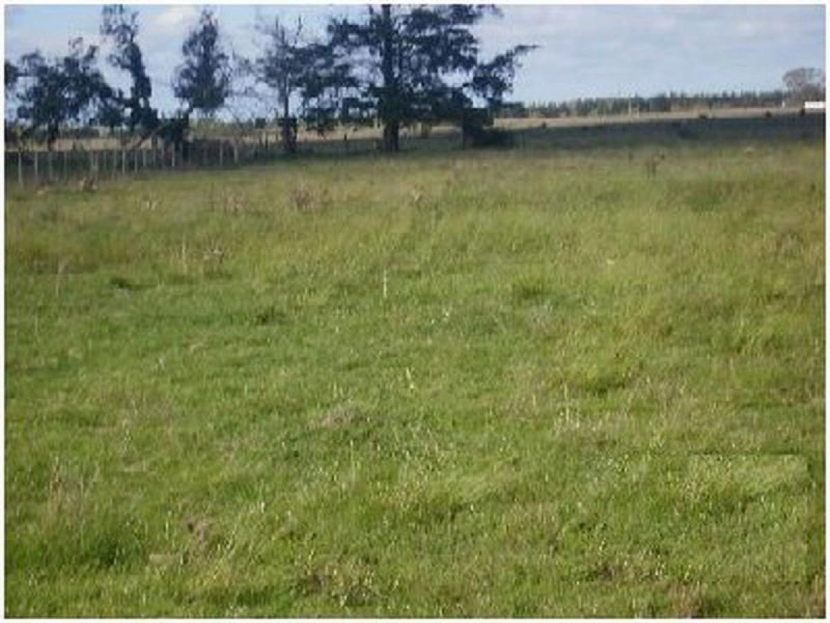 Ферма 47м² в Мальдонадо, Уругвай № 14923