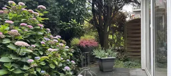 1 bedroom Apartment in Krefeld, Germany No. 286671 12