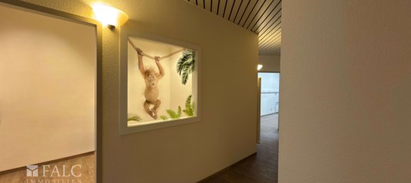 Escritório em Duisburg, Germany 172 m² N.º 227786 5