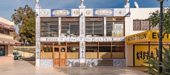 Gewerbliche Immobilie in San Bartolome De Tirajana, Spain 320m², Nr. 33058 10