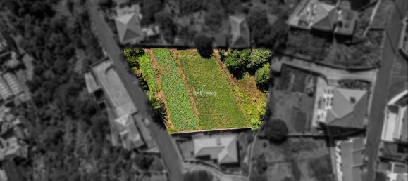 4 bedrooms Villa in Sao Vicente, Portugal No. 119946 8