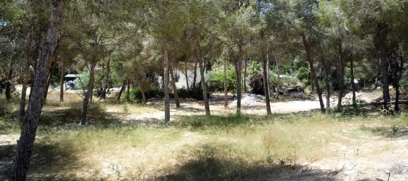  قطعة أرض في Moraira, Spain رقم 92244 10