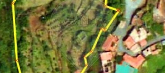 3 bedrooms House in Tondela, Portugal No. 17450 6