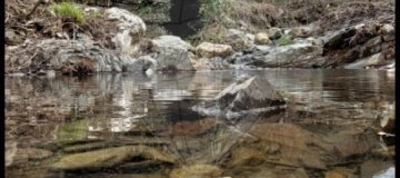 3 bedrooms House in Tondela, Portugal No. 17450 3