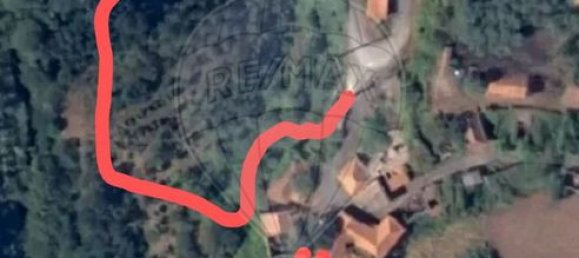 3 bedrooms House in Tondela, Portugal No. 17450 7