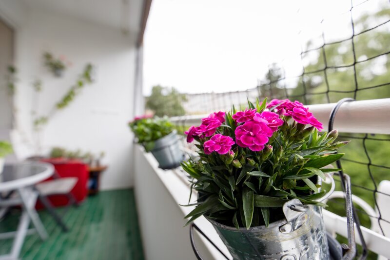 4 rooms Apartment in Salzburg, Austria No. 197108