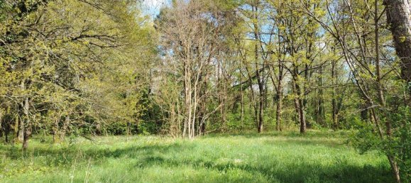 4 غرف نوم منزل في Vitry-aux-Loges, France رقم 60516 3