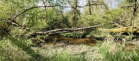 4 غرف نوم منزل في Vitry-aux-Loges, France رقم 60516 2