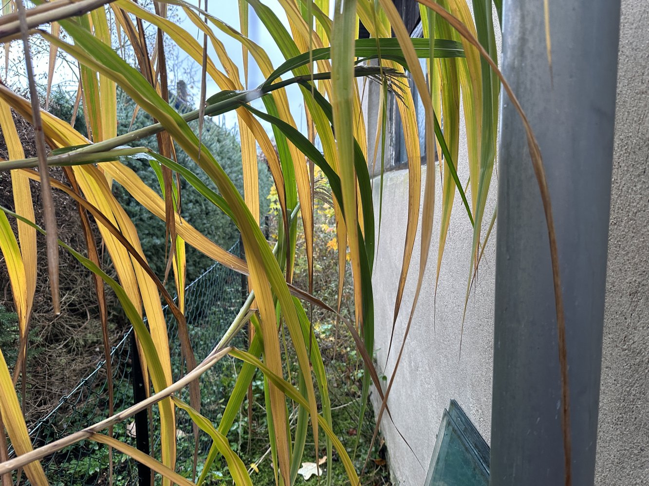 1 bedroom Land in Barnim, Germany No. 12618