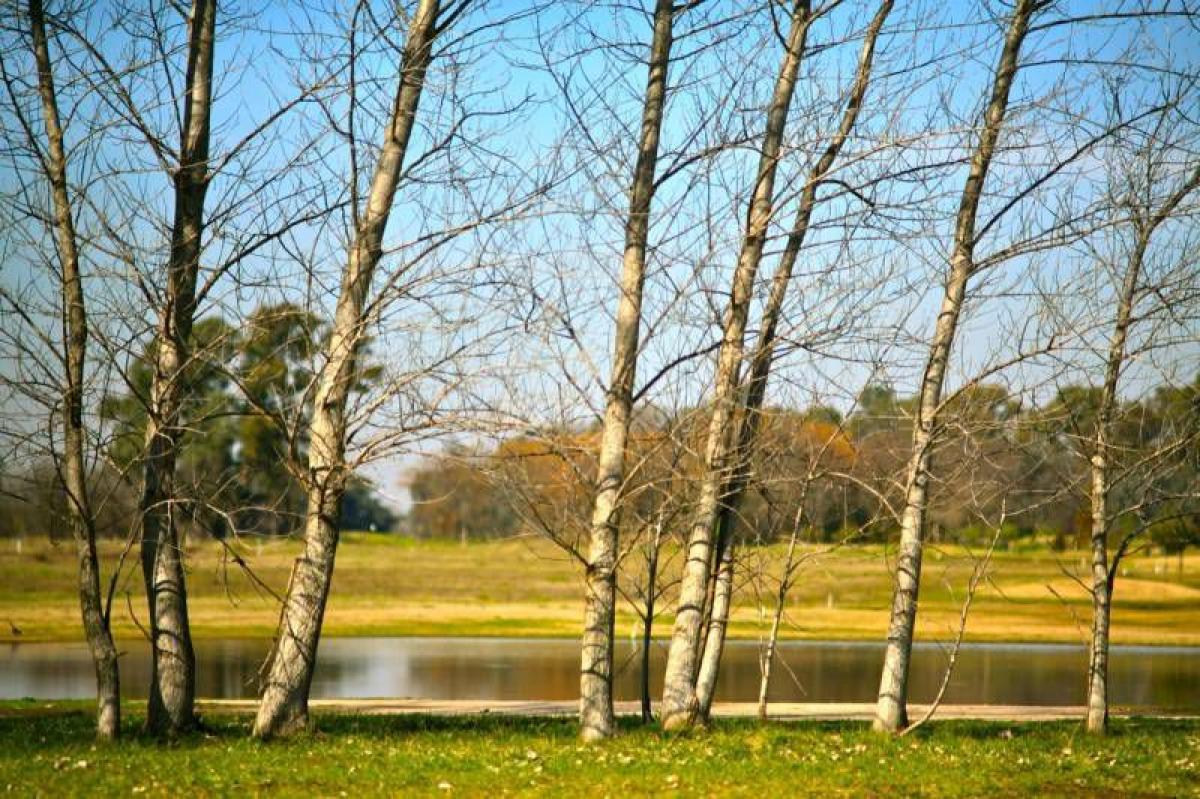  Land in Pilar, Argentina No. 32070