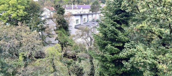 Квартира с 2 комнатами в Баден, Австрия № 160480 2