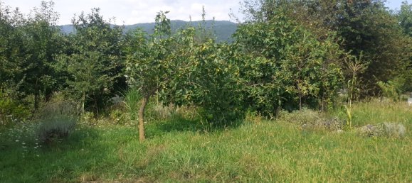 4 rooms House in Sarmede, Italy No. 255887 6