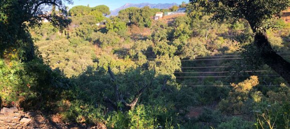  Land in Marbella, Spain No. 81282 17